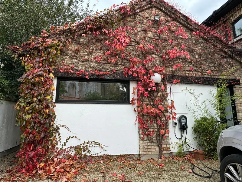 Brick and render exterior of a house maintained by Edal Construction, with autumn creeper on the gable